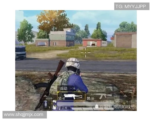 和平精英深度解析LNG战队的战术控制与团队协作技巧 和平精英深度解析LNG战队的战术控制与团队协作技巧