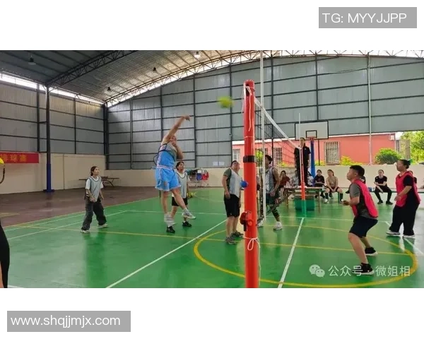 成都排球队的灵活性揭秘：排球运动中的技巧与团队协作之道