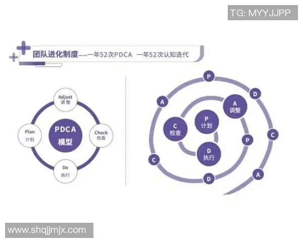武汉排球队运营分析：成败得失背后的深层原因探讨