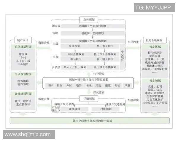滑板战术解析：成都滑板队的战术控制与团队协作体系探讨