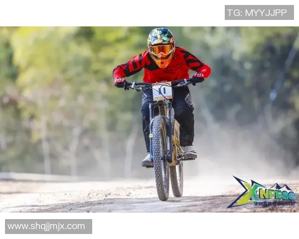 西安极限运动队在极限运动会中的团队协作表现分析与点评