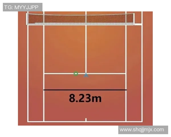 重庆网球队近期状态分析与表现评估及未来发展趋势探讨